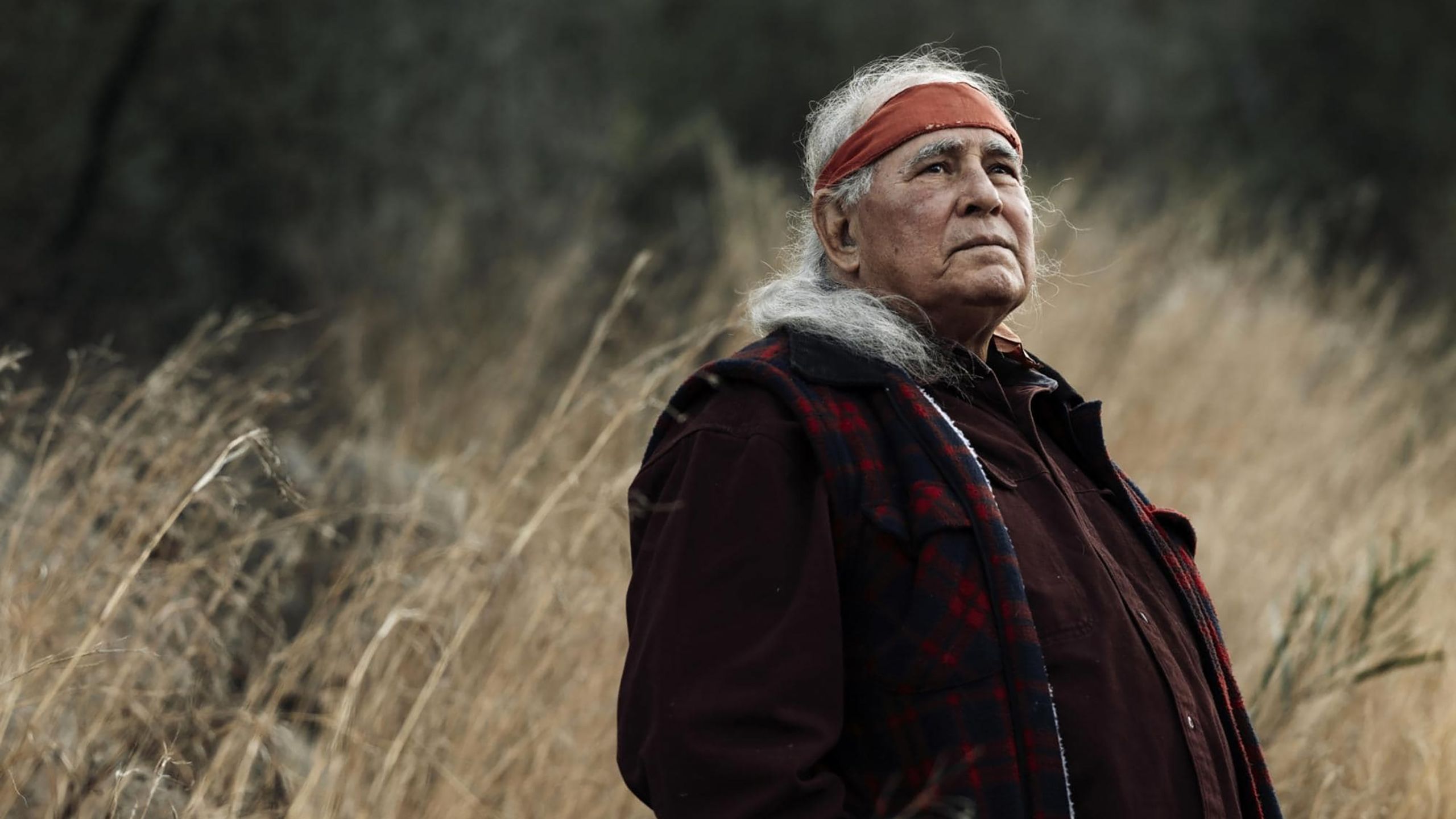Kev Carmody wearing a red headband and standing among long dry grass.
