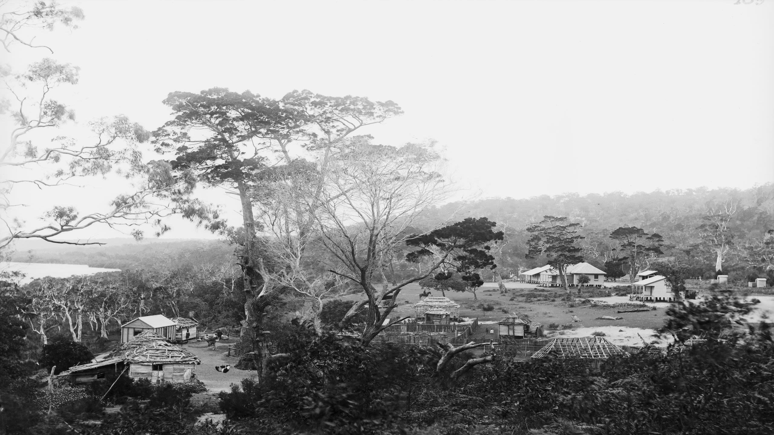 A black and white image of an Aboriginal settlement on Minjerribah/North Stradbroke Island in the 1890s.