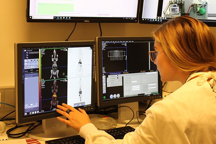 A scientist looking at scans on a computer