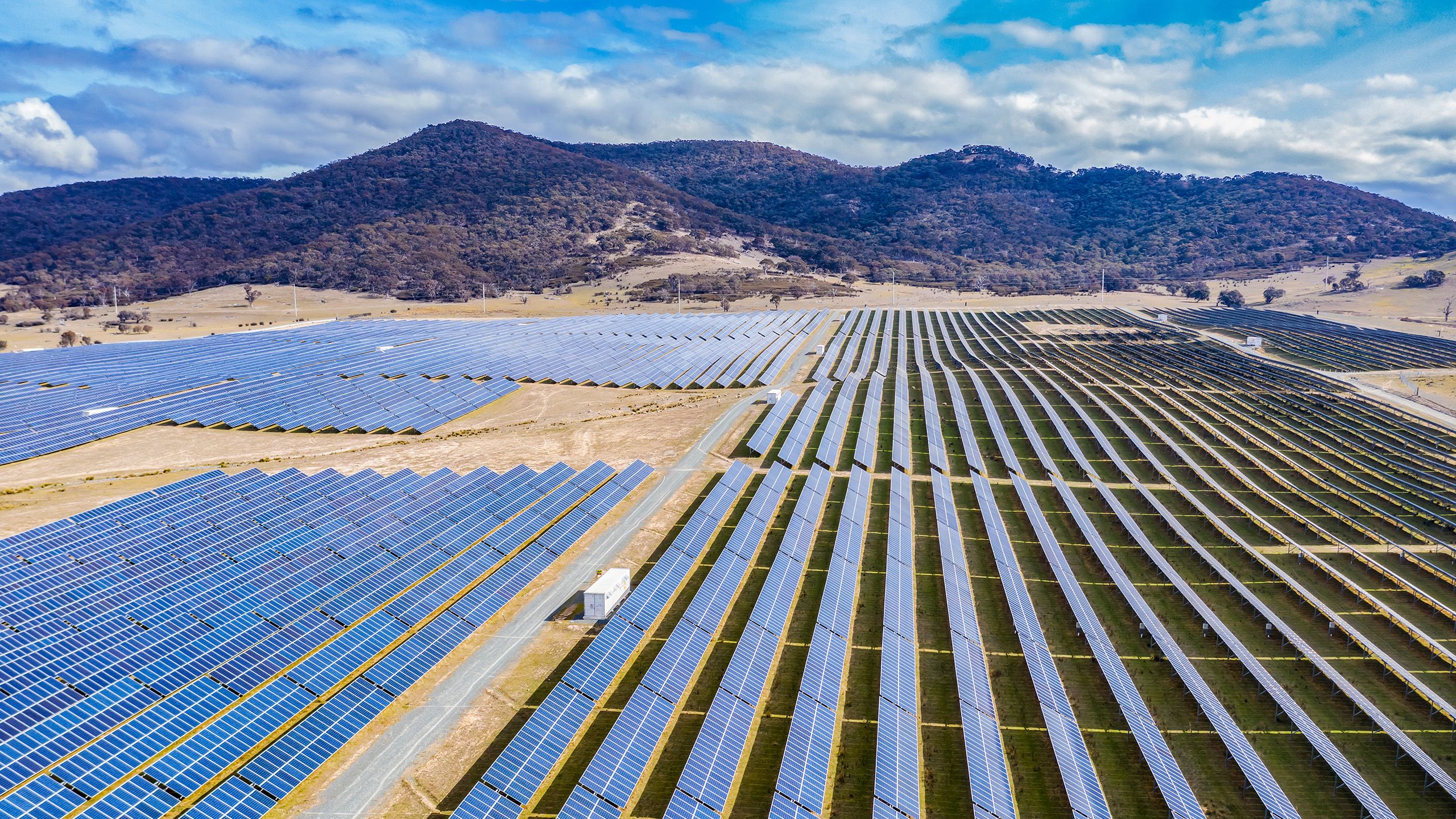 A large solar farm with a road running through it in front of a tree-covered mountain range
