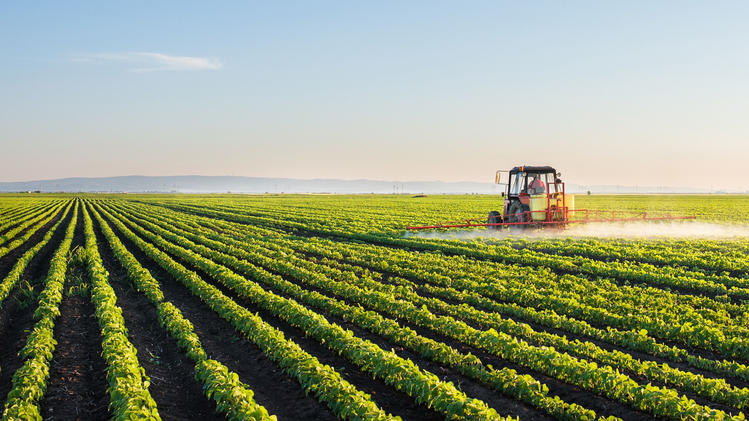A field of soybean crops being sprayed