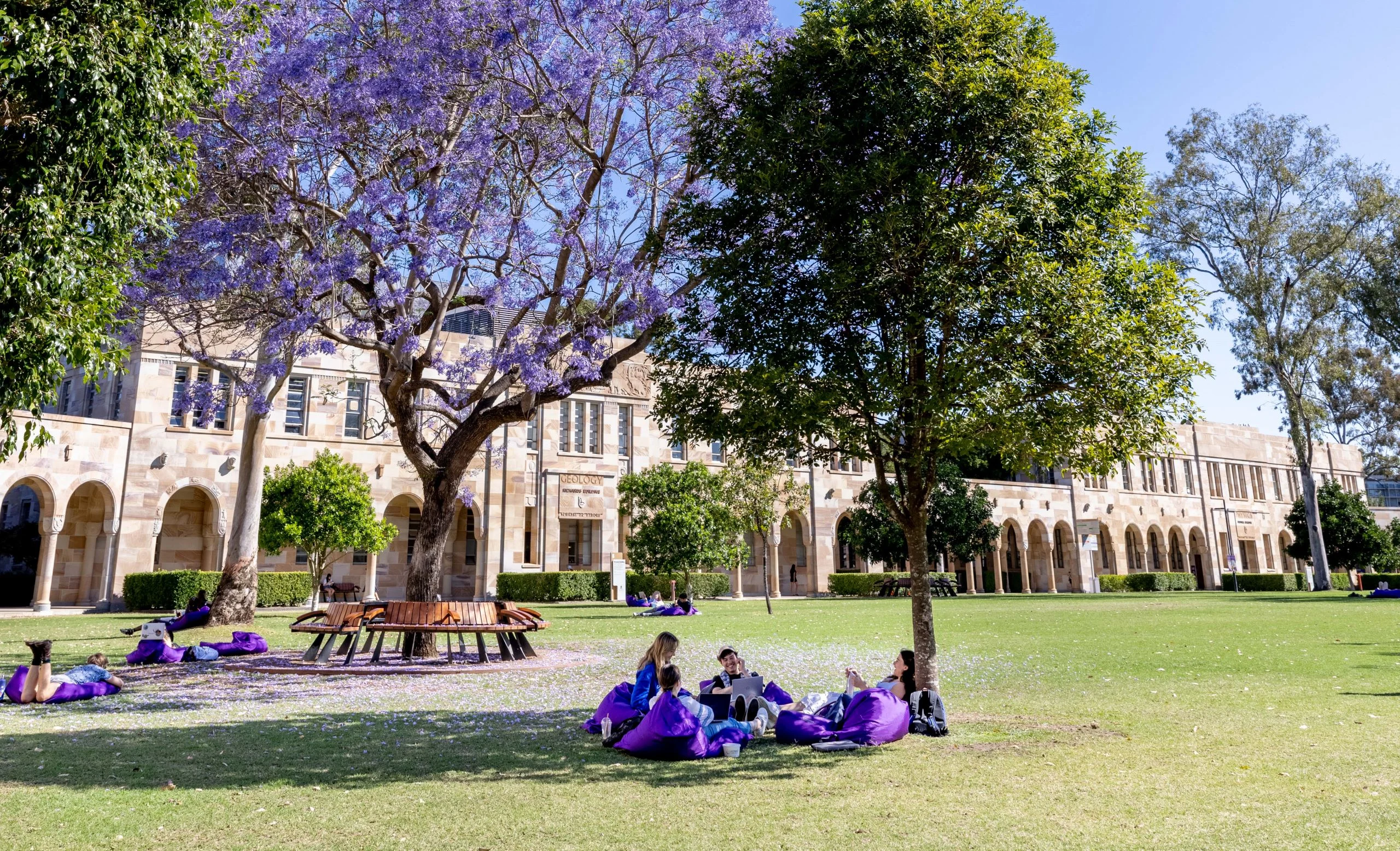 A green lawn in front of a sandstone building. People are sitting on purple beanbags under jacaranda trees on the lawn.