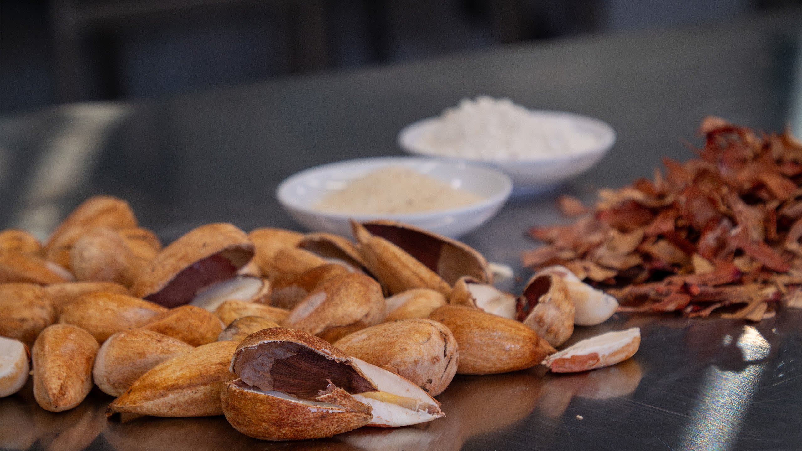 Bunya nuts scattered on a kitchen bench with dishes in the background.