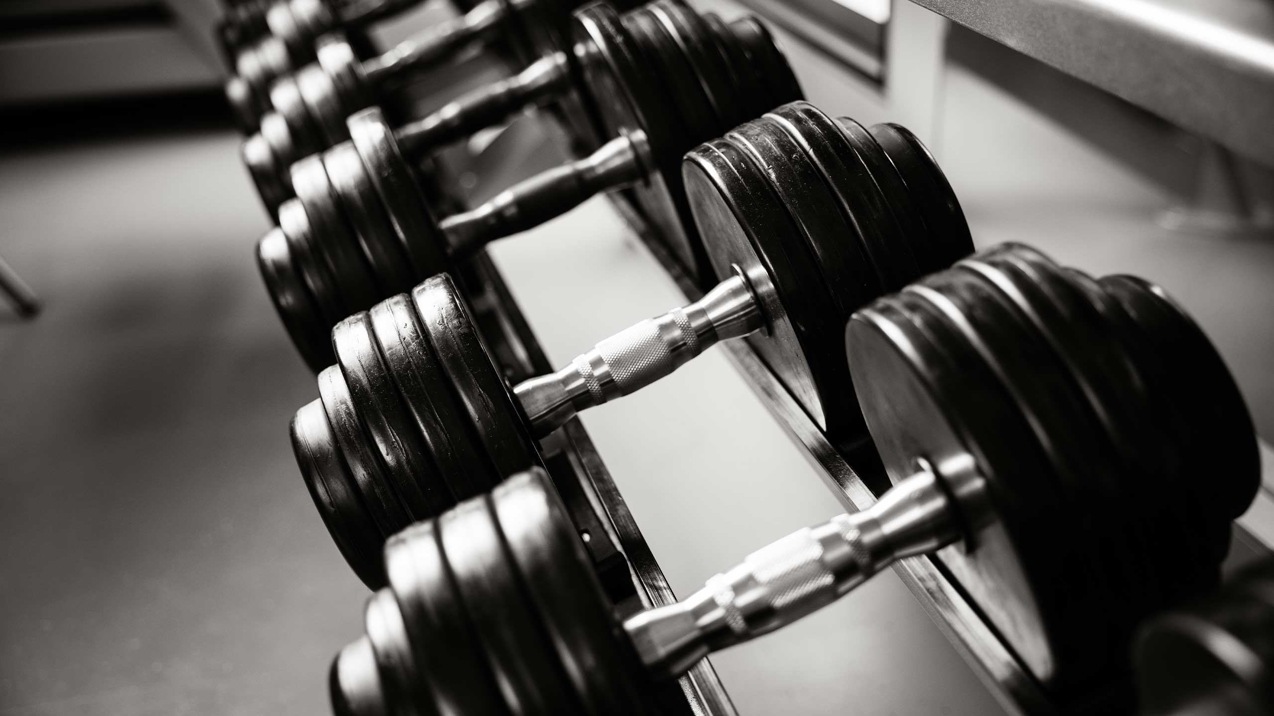 A set of weights in a gym