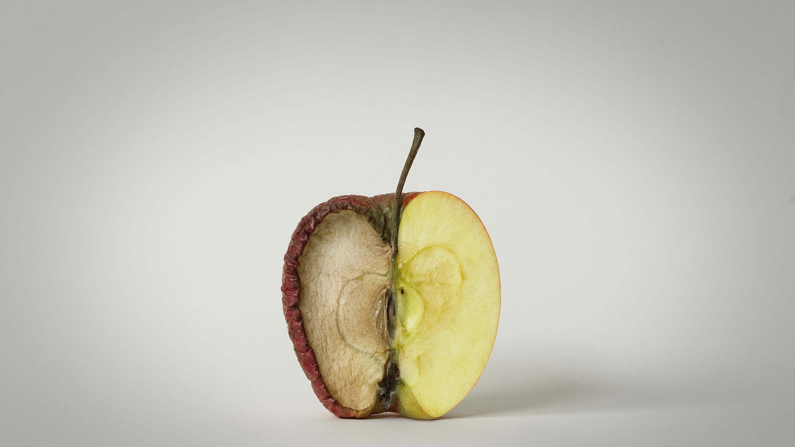 An apple, one half of which is fresh and the other rotting