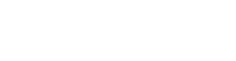 The Winston Churchill Trust