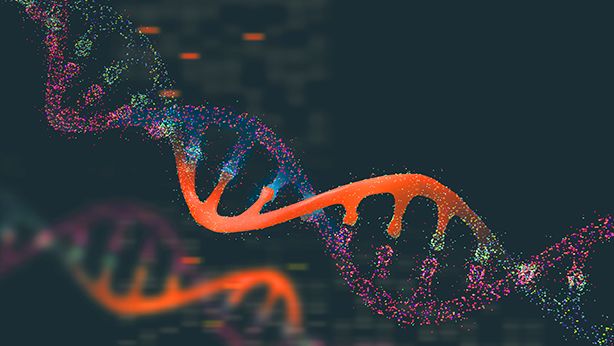 DNA helix