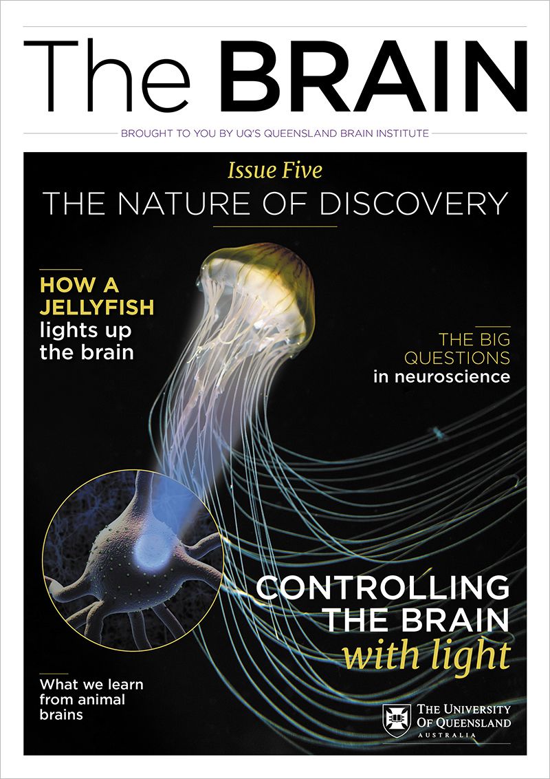 The BRAIN: The Nature of Discovery