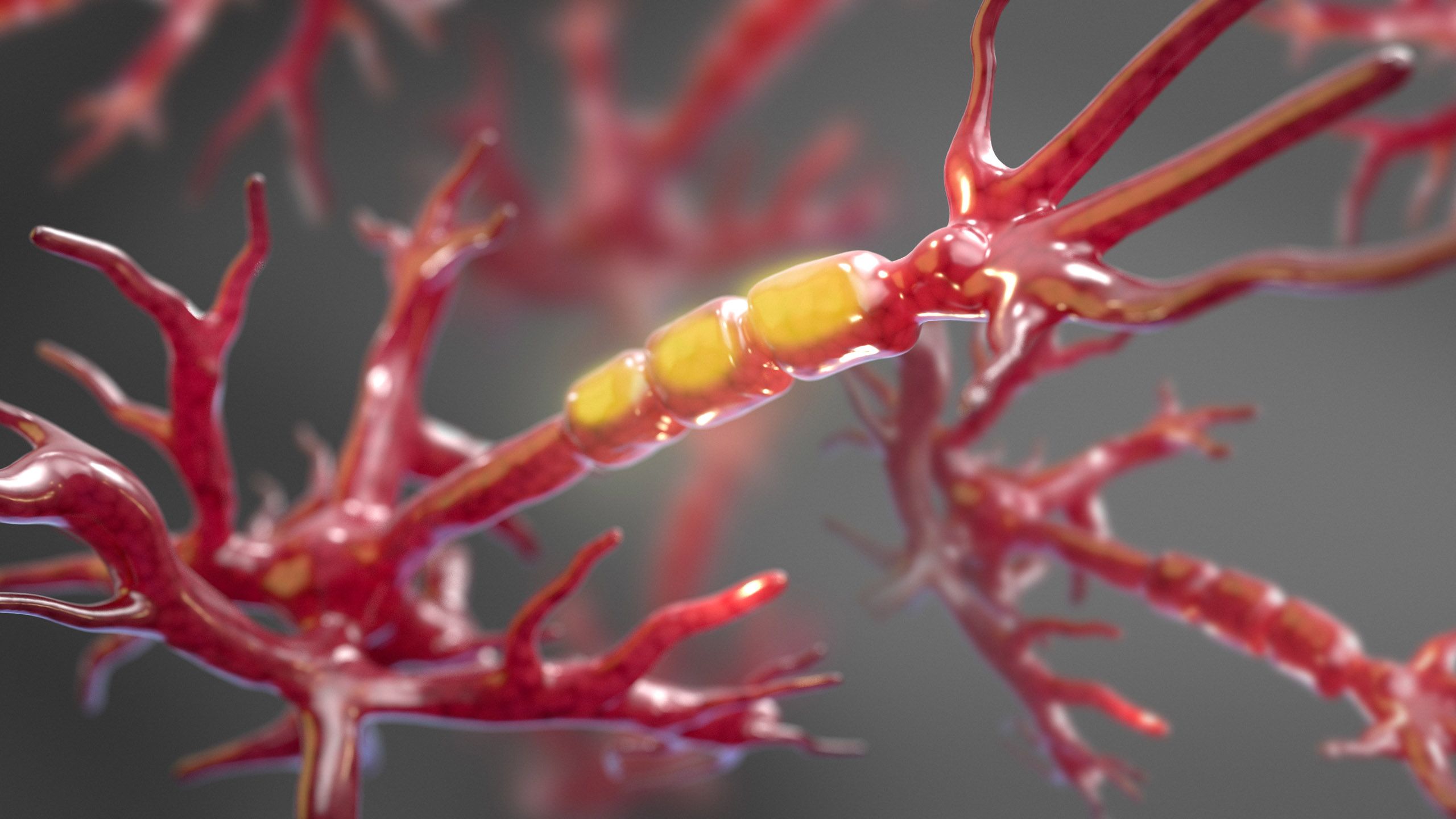 A rendering of an axon, the part of a neutron that transmits electrical impulses to other neurons.