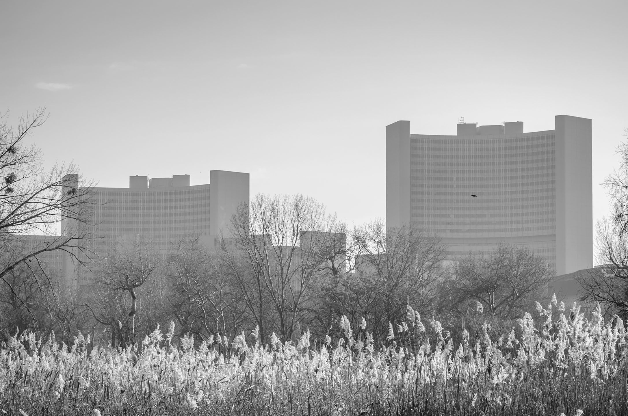 Greyscale photo of the UN buildings in Vienna as seen through a nearby field