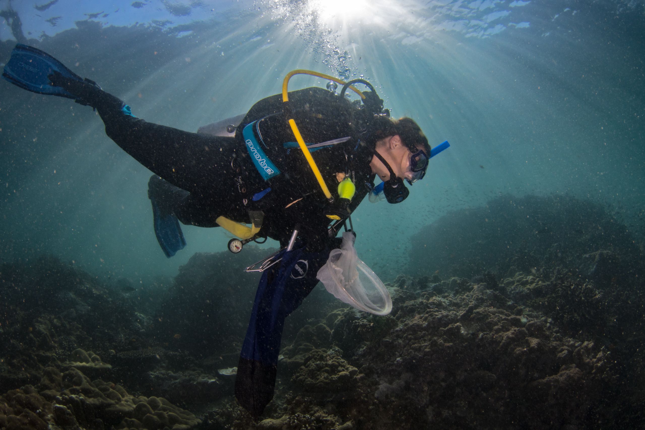 Image of Amelia Wenger snorkelling in Myanmar.