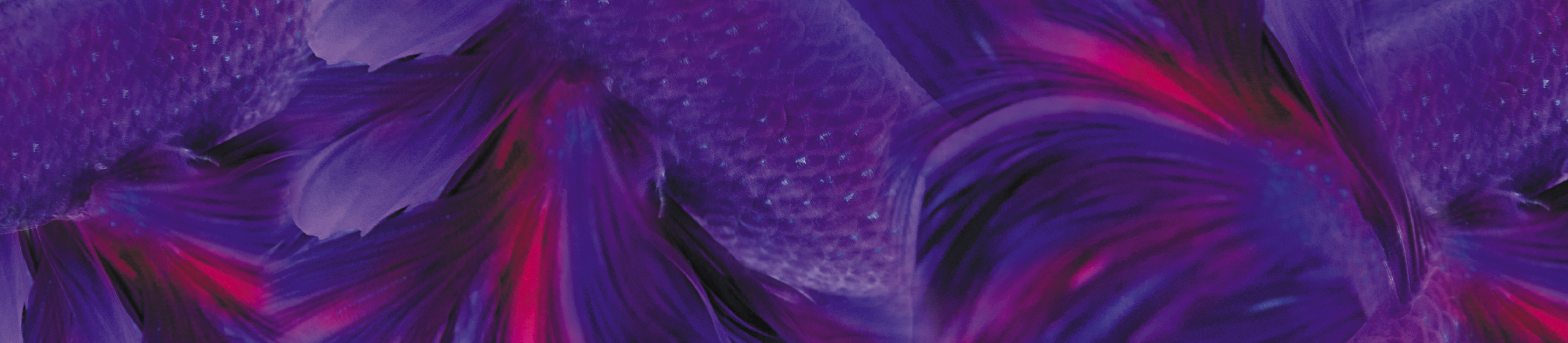 Digital art with purple fish scales