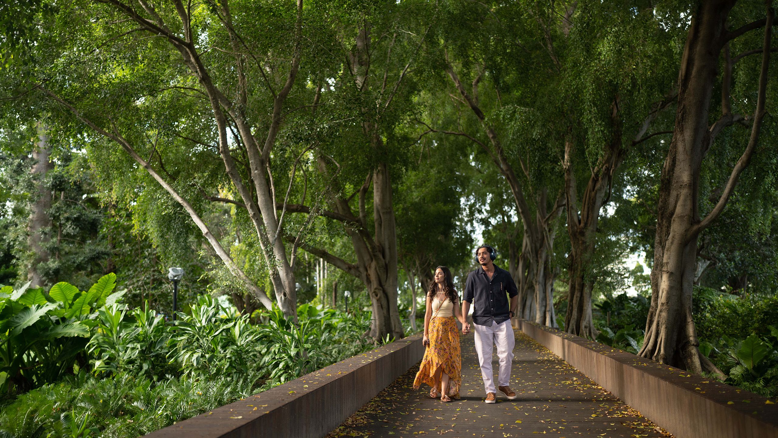 Two people, both wearing headphones, holding hands walking on a pathway underneath a canopy of tall trees
