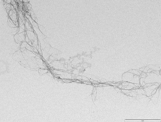 Nanofibres produced from spinifex.