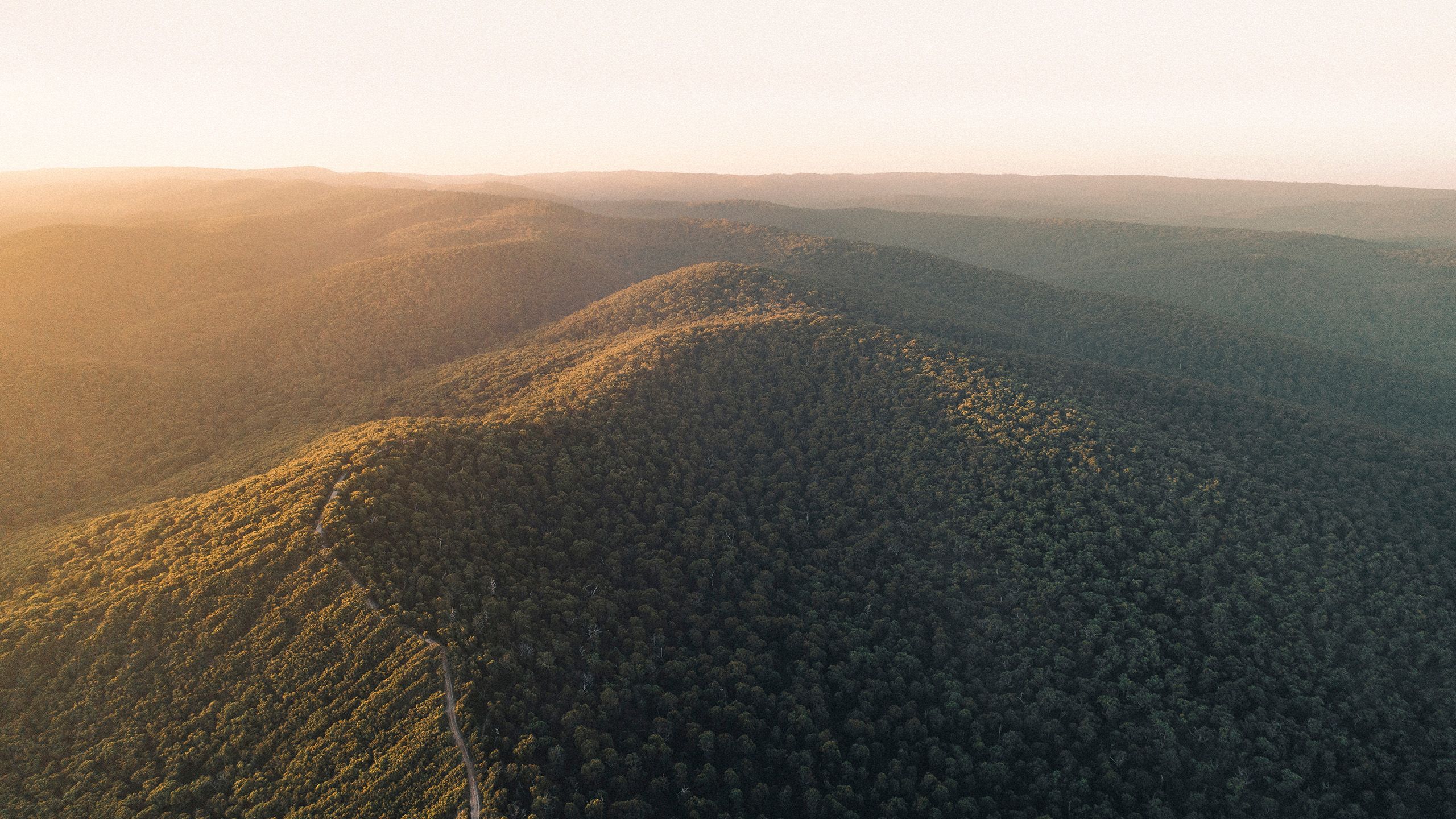 Aerial view of forest landscape along the Great Ocean Road in Victoria at sunset