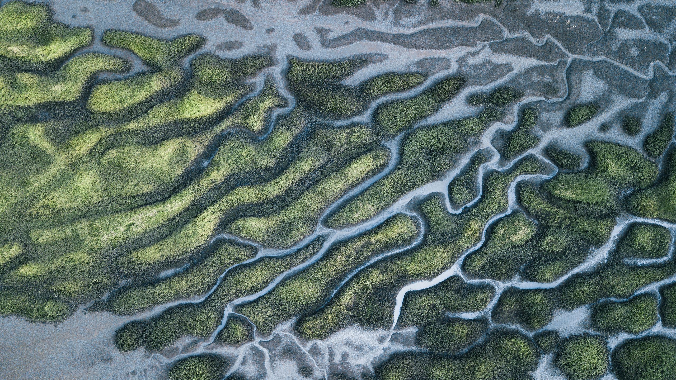 River Patterns and Bridge, Tasmanian Landscape Australia Views from the air