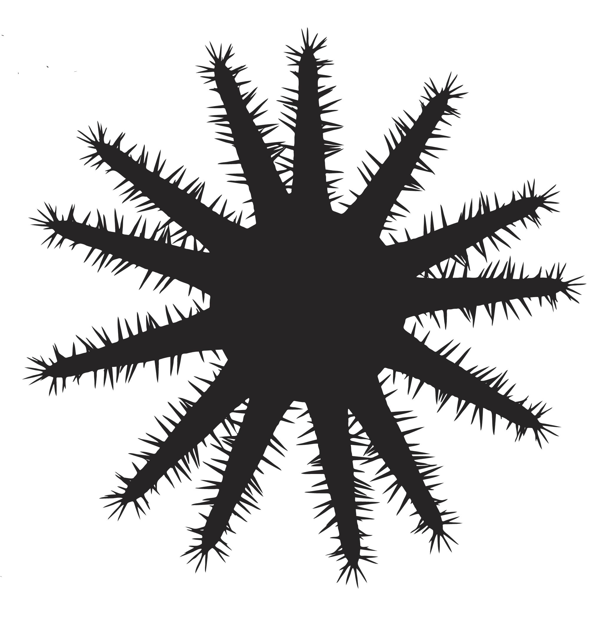 Icon showing the silhouette of the Crown of thorns starfish.