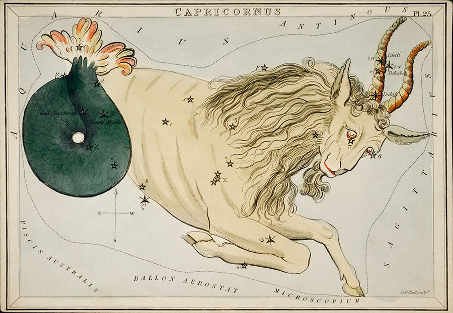 Very old astrology iIllustration from the Library of Congress Sidney Hall collection 1800s astronomical chart illustration of the cancer Capricorn