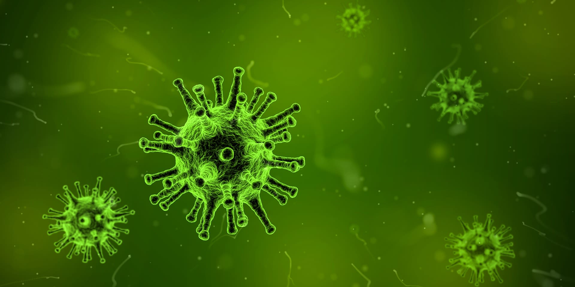 virus graphic