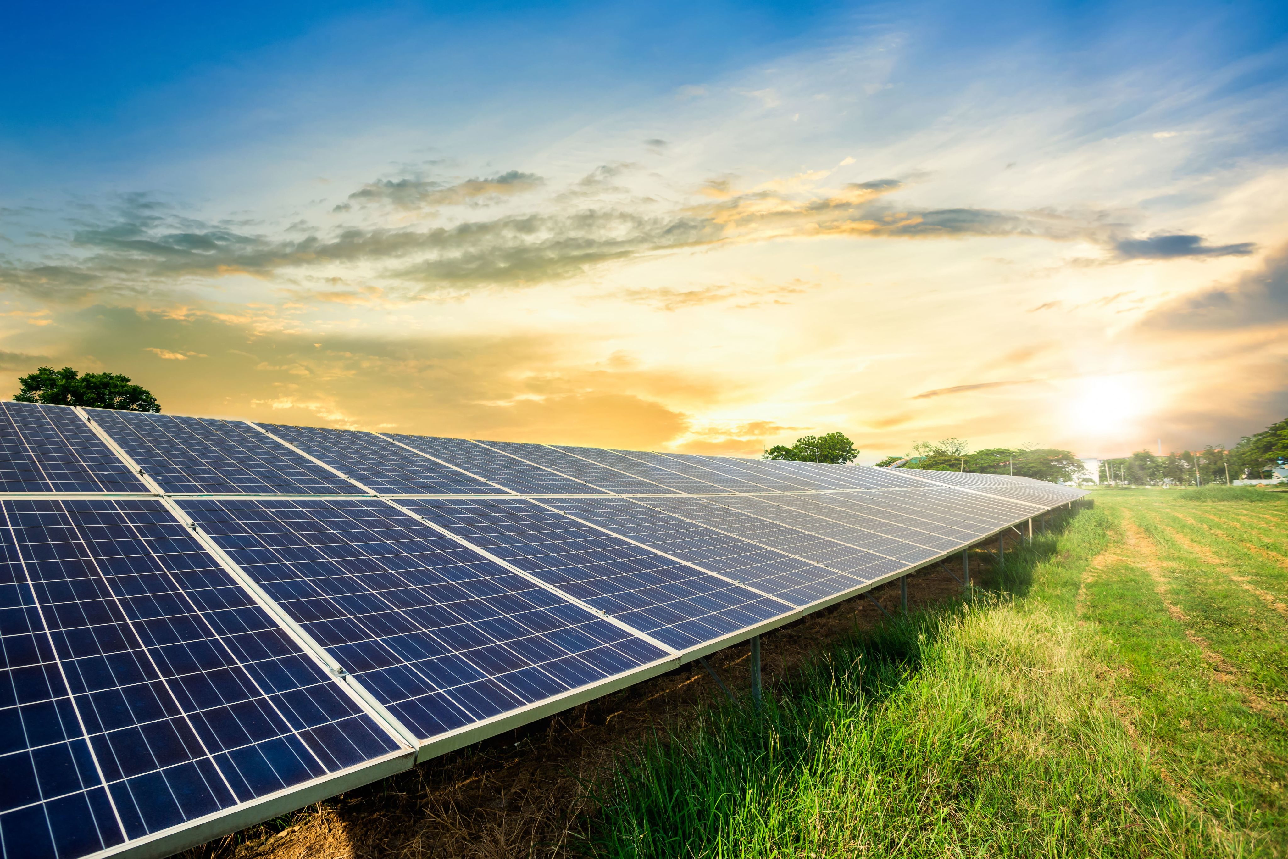 Solar panel cell
