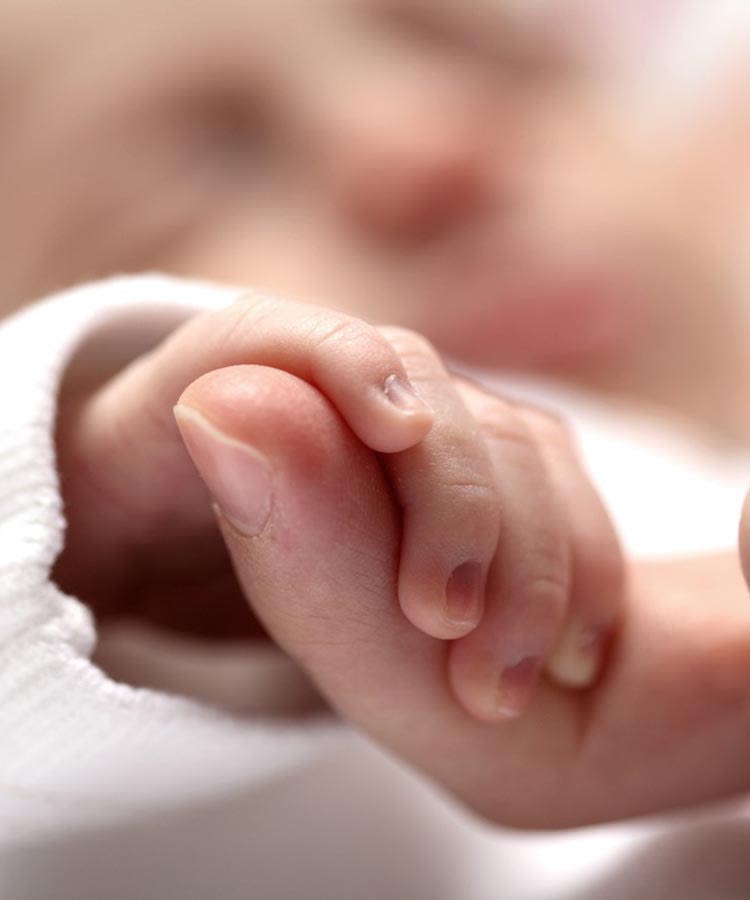 Adult holding a small baby's hand