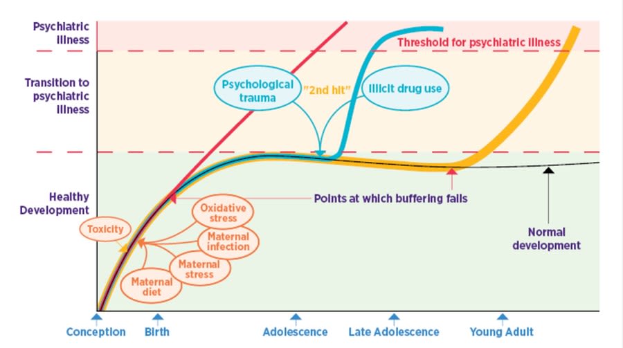 Infographic illustrating the three main pathways thought to lead to the emergence of psychiatric conditions. Pathway one is triggered when adaptation fails before birth, pathway two is triggered when later stressors occur and pathway three is triggered when adaptions to early events and unmasked and the threshold to psychiatric illness is crossed.