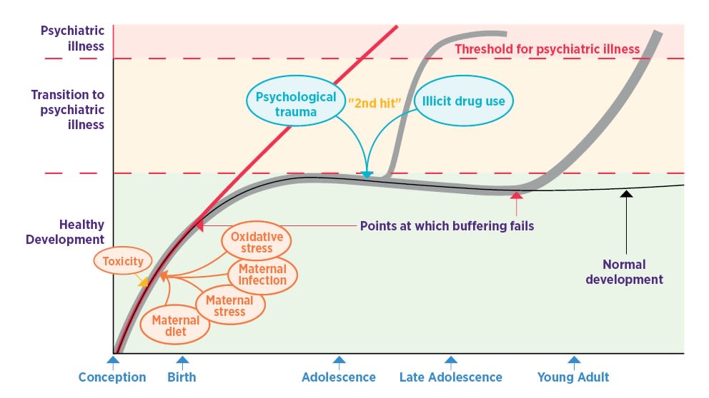 Infographic illustrating pathway to psychiatric conditions if adaptation fails before birth.