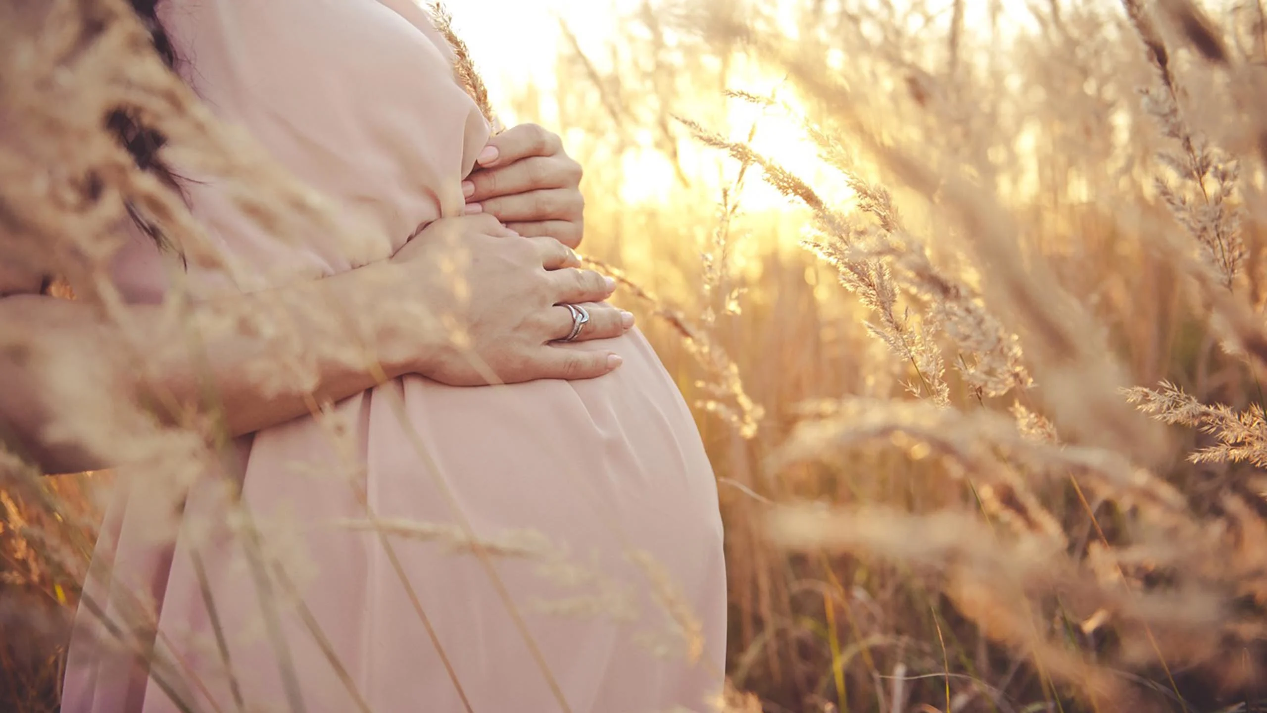 Pregnant woman standing amidst grass in the sunshine