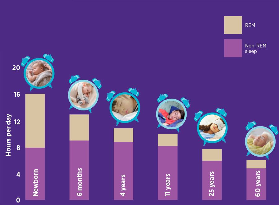 A bar graph showing that per day, a new born baby needs around 16 hours of sleep, a 6 month old needs around 14, a 4 year old needs around 11 hours, a 11 year old needs around 10 hours, a 25 year old needs around 8 hours and a 60 year old needs around 7 hours.