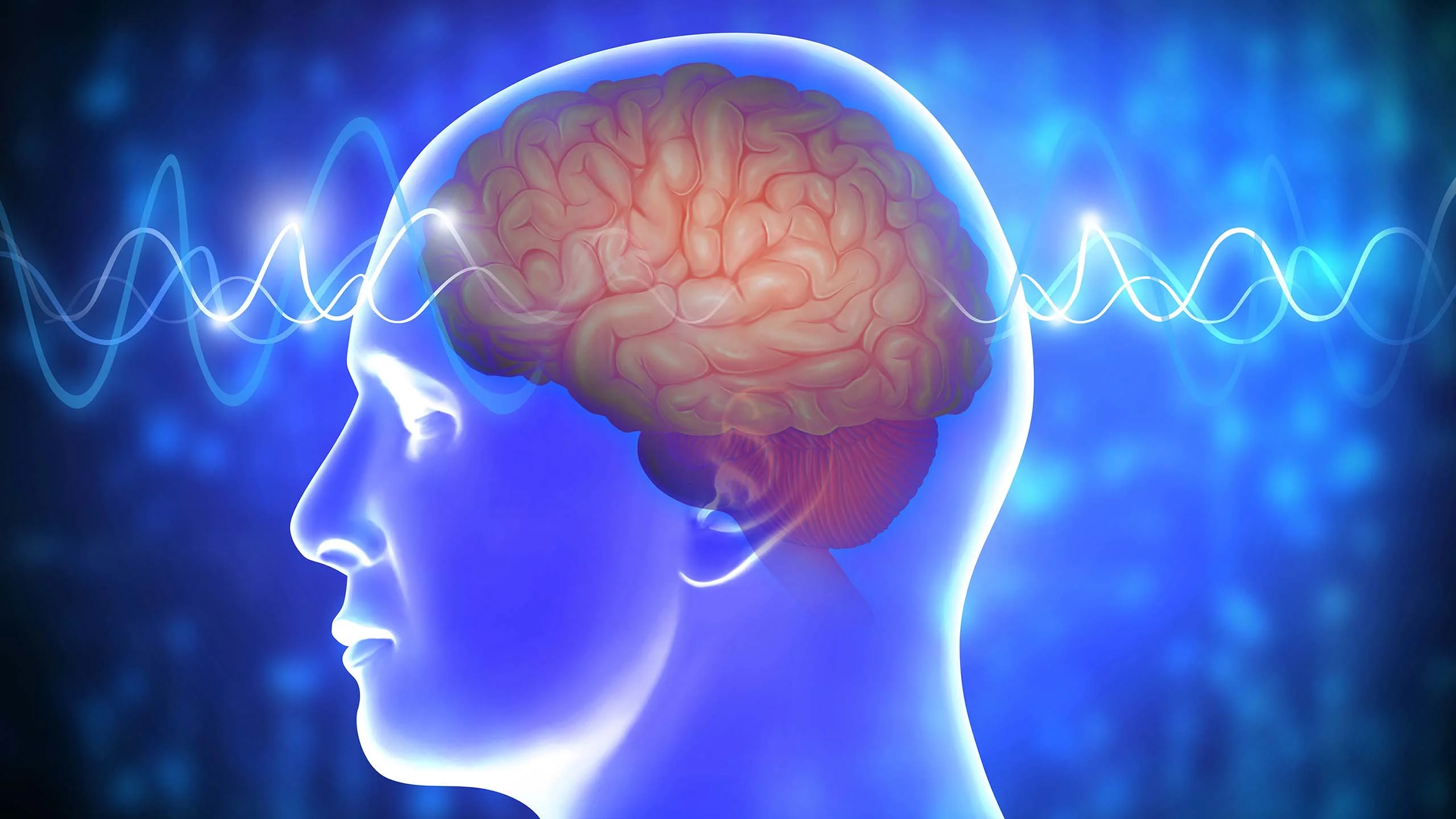 An illustrative diagram of a human brain inside a skull with waves pulsing through it