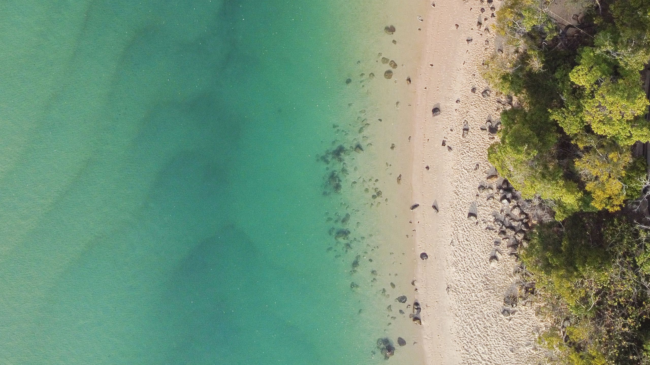 An aerial view of a beach, fringed by forest